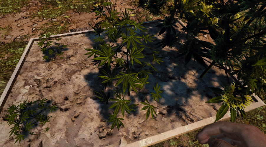 crops.png